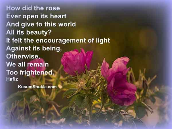 Hafiz quote about roses