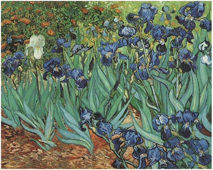 Irises by Van Gogh Irises by Van Gogh